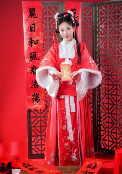 红顶商人胡雪岩40集电视剧免费_BD韩语在线观看