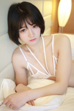 狂欢之夜免费全集在线观看_1080日韩免费观看